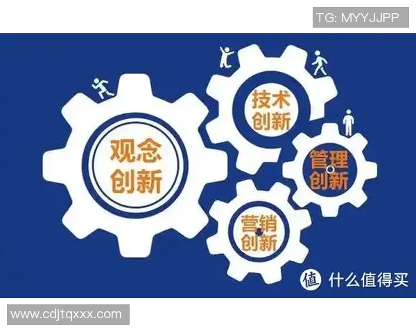 深圳排球队转型之路:从传统到创新的全新篇章探索